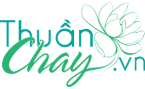 cropped-logo-Thuan-Chay.png
