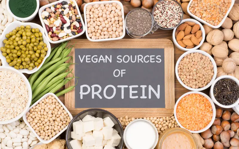 Protein là một trong những yếu tố quan trọng trong chế độ ăn uống hàng ngày của chúng ta. về kiến thức dinh dưỡng